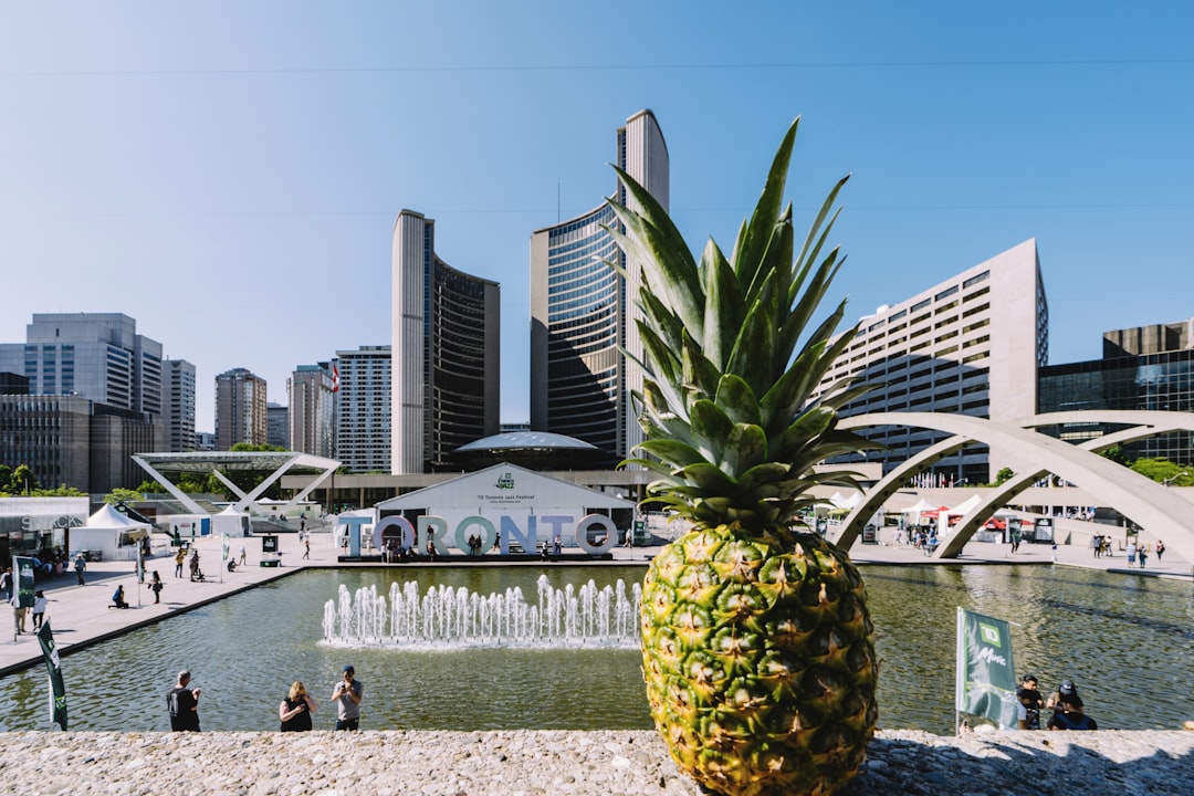 pineapple picture shot at nathan phillips square in toronto