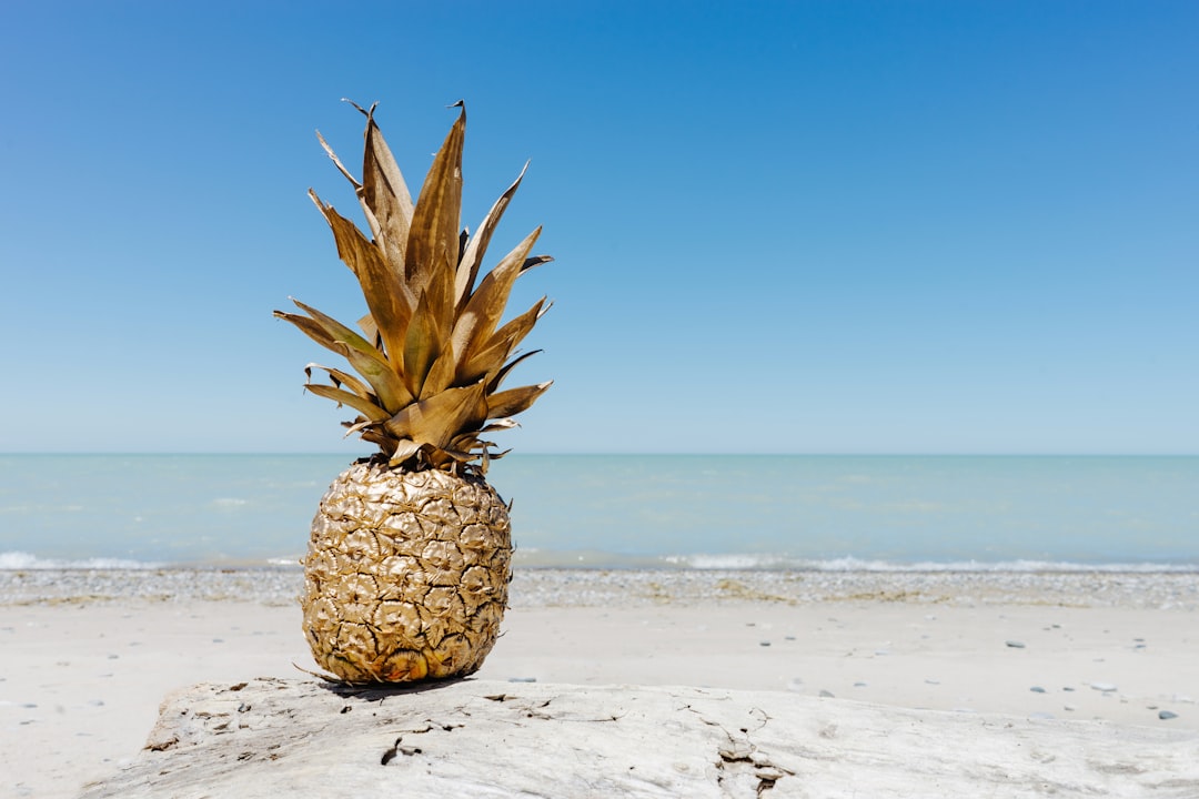 painted gold pineapple at the beach in the summer