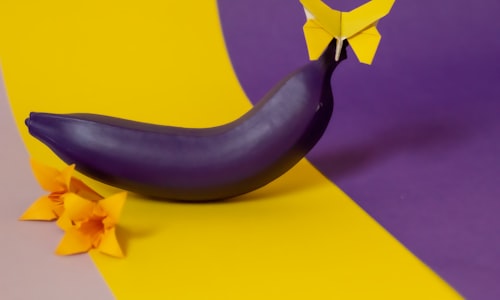 banana slugs facts