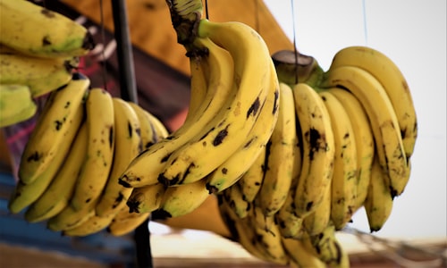 bananas radioactive facts