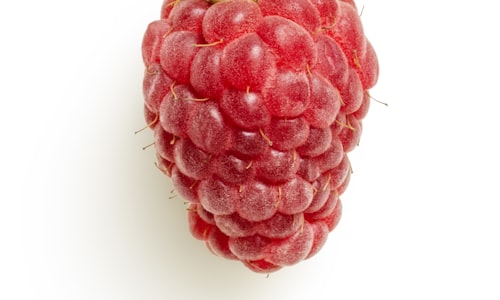 blowing raspberry facts