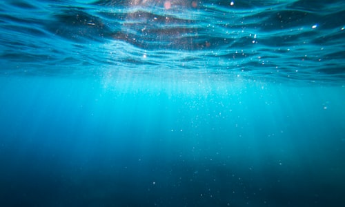 breathe underwater facts