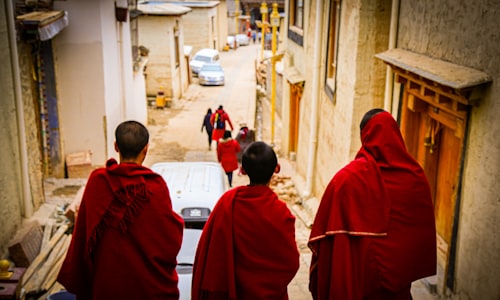 buddhist monks facts