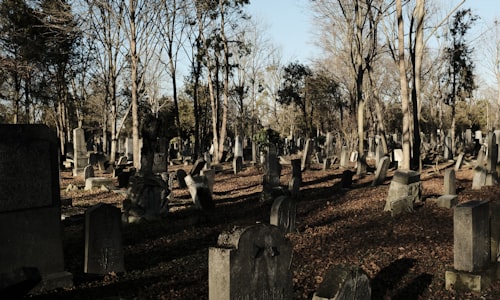 buried cemetery facts