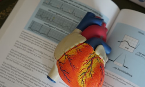 coronary heart facts