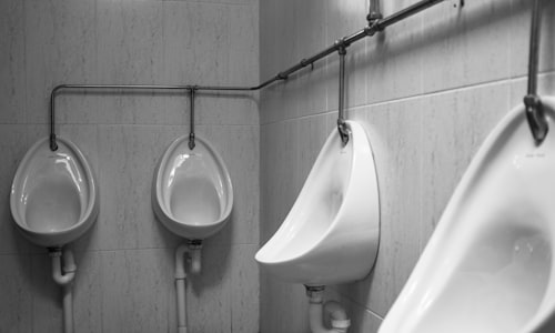 excreted urine facts