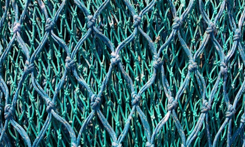 fishing nets facts