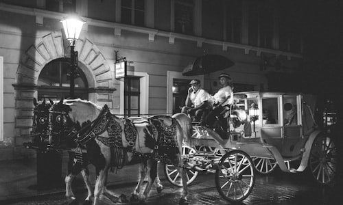horse carriage facts