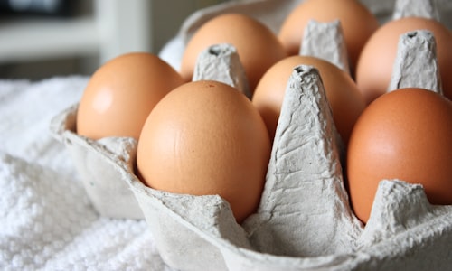 incubate eggs facts
