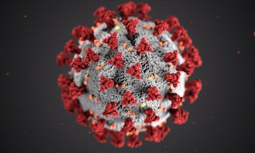 monkeypox virus facts