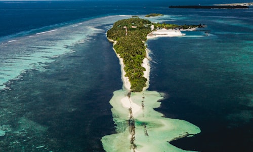 palmyra atoll facts
