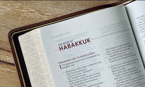 project habakkuk facts