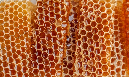 smeared honey facts