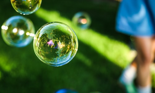 speculative bubble facts