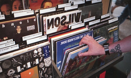 vinyl records facts