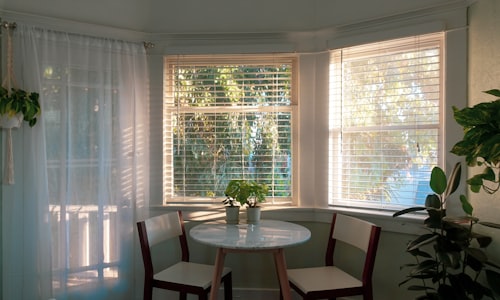 window blinds facts