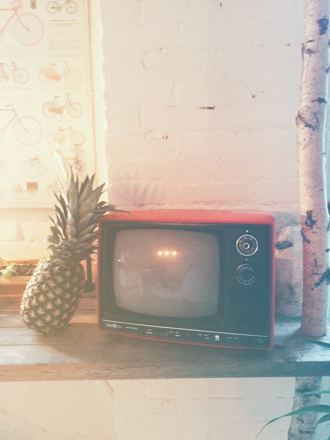 Pineapple photos in Montreal Airbnb Loft