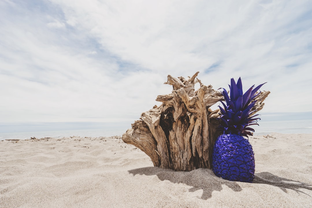 pineapple painted purple at the beach