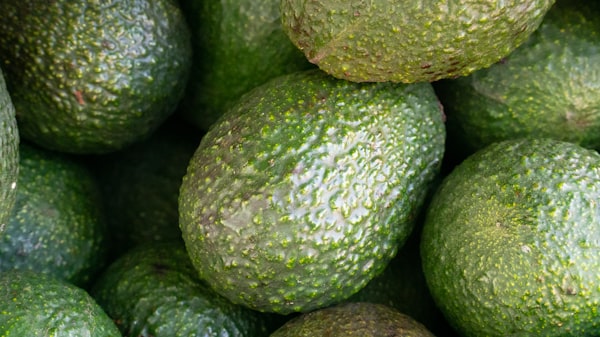"Consumo de abacate pode estar associado a um menor risco de diabetes em mulheres: Descubra com