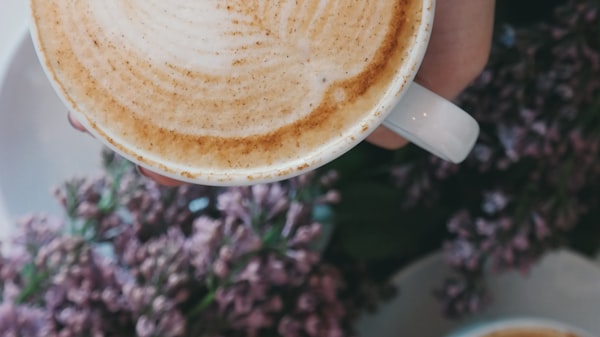 Qual é a diferença entre cappuccino, affogato e mocha? Descubra os segredos por trás dessas delicios