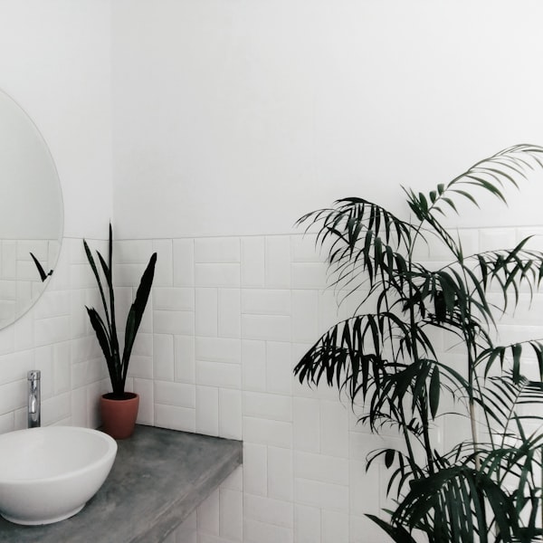 Sanita kúpeľne: význam štýlu a subjektívneho vkusu