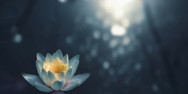The Benefits of Mindfulness Meditation: A Gateway to Inner Peace and Clarity