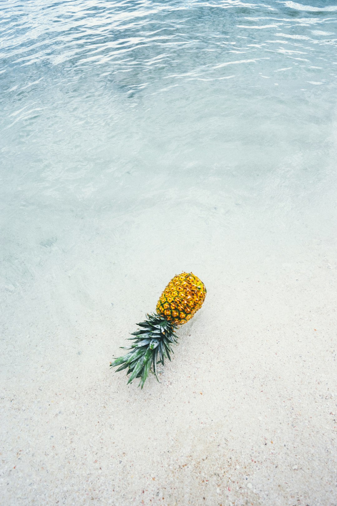 photo of pineapple in the ocean