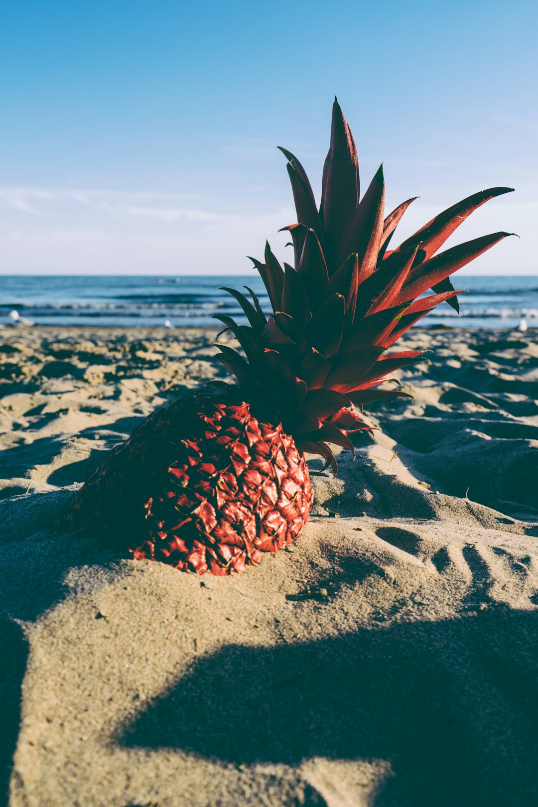 red pineapple in the sand in high-resolution