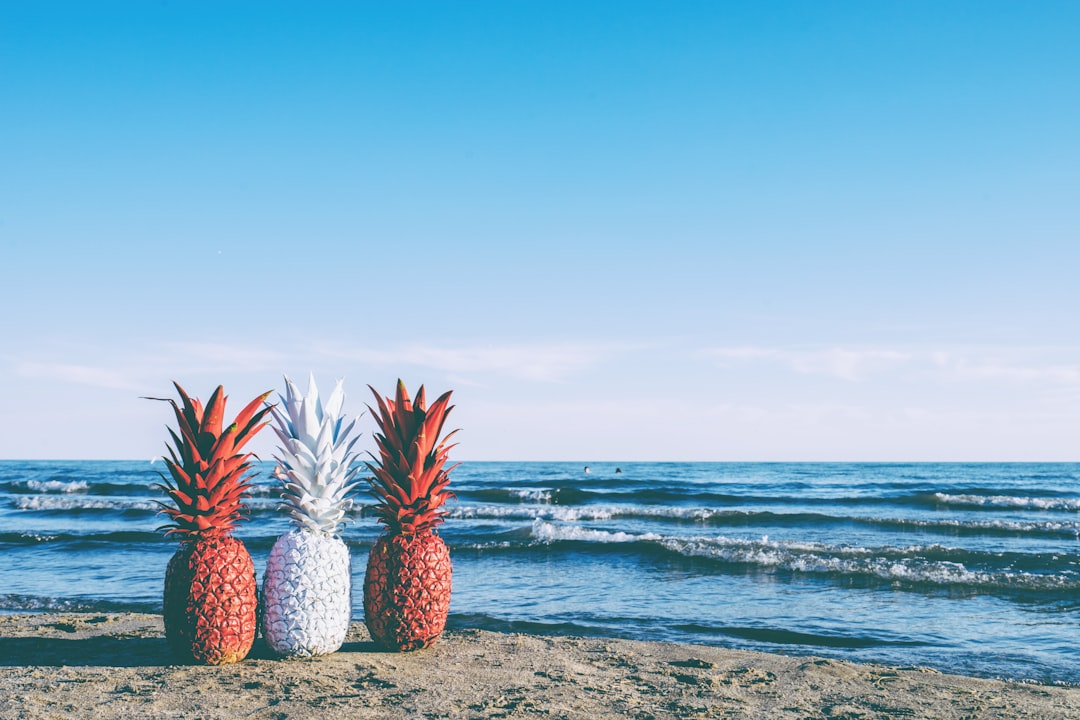 red and white pineapples on the beach - go Canada