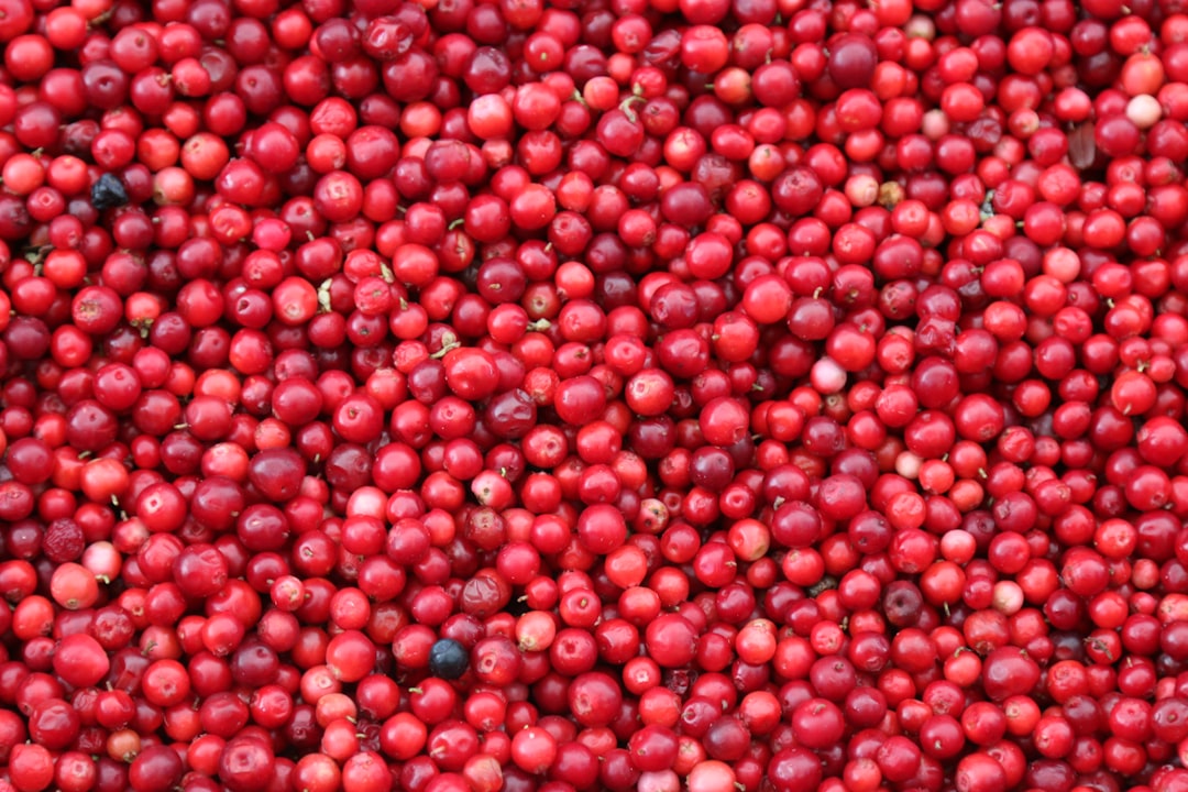 Thanksgiving Cranberry Sour