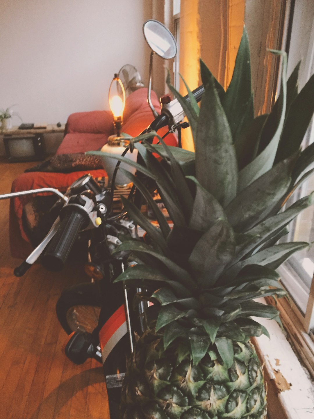 Pineapple Photo for Free on a Motorcycle in Loft