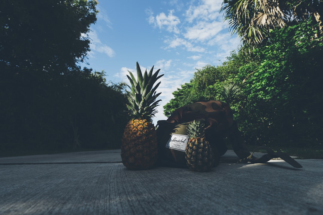 pineapples on path in mexico