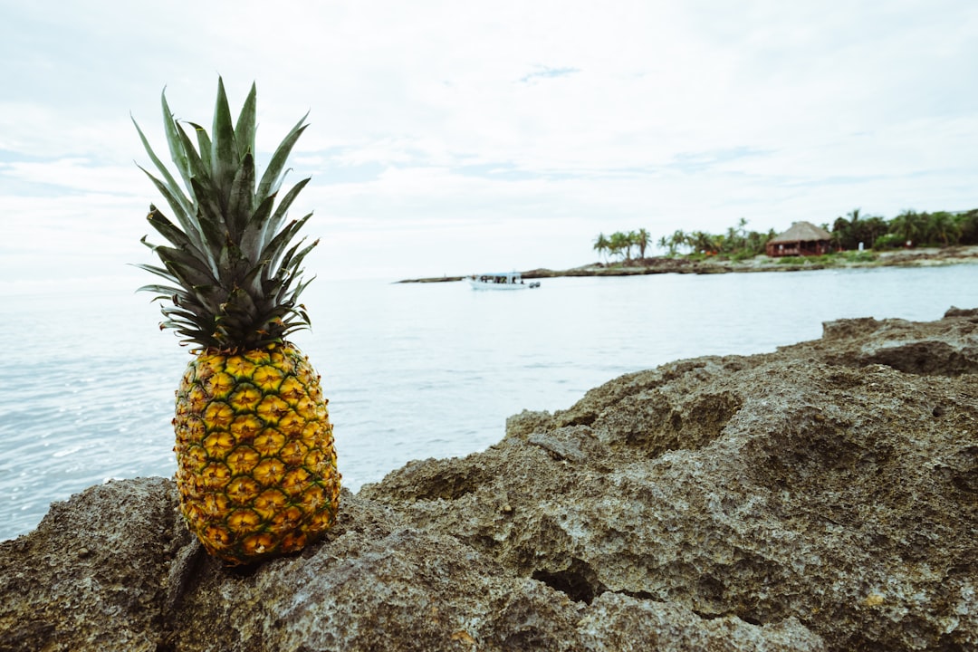 pineapple picture shot in mexico on the rocks