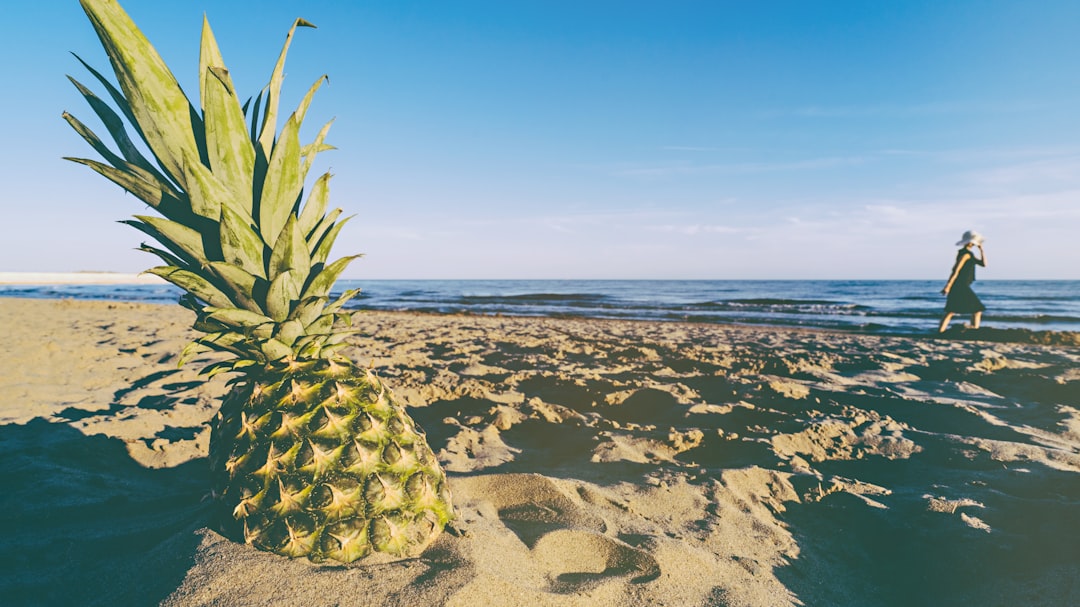 pineapple at sunset with a woman walking the beach