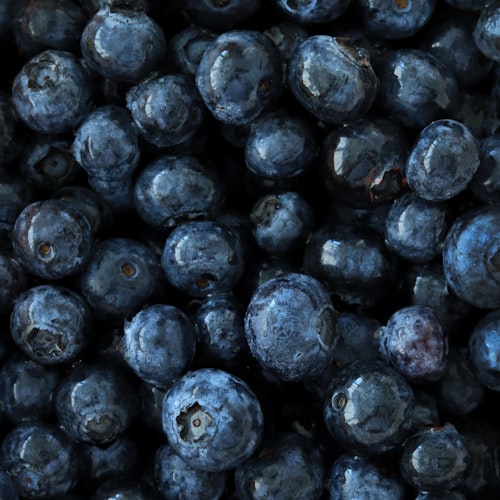a bunch of blueberries. 