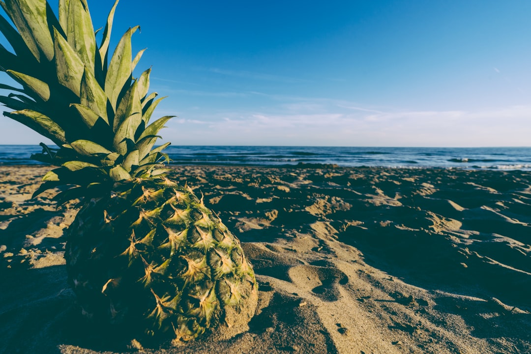 pineapple at sunset on the beach