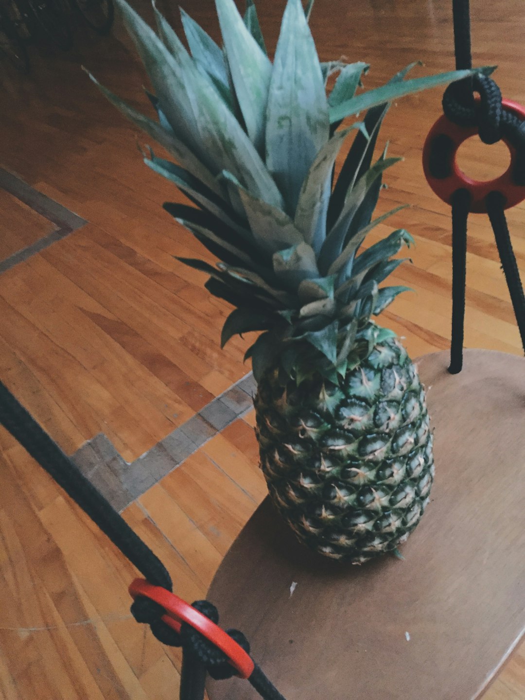 Pineapple photos in Montreal Loft from Airbnb