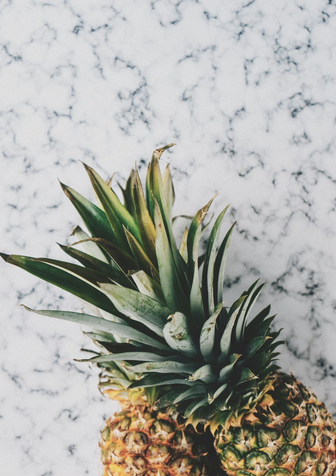 free high-resolution stock photo of pineapples