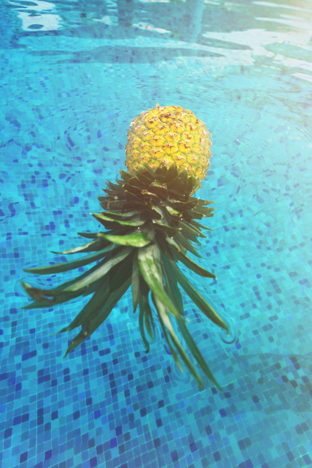 pineapple picture floating in pool in mexico
