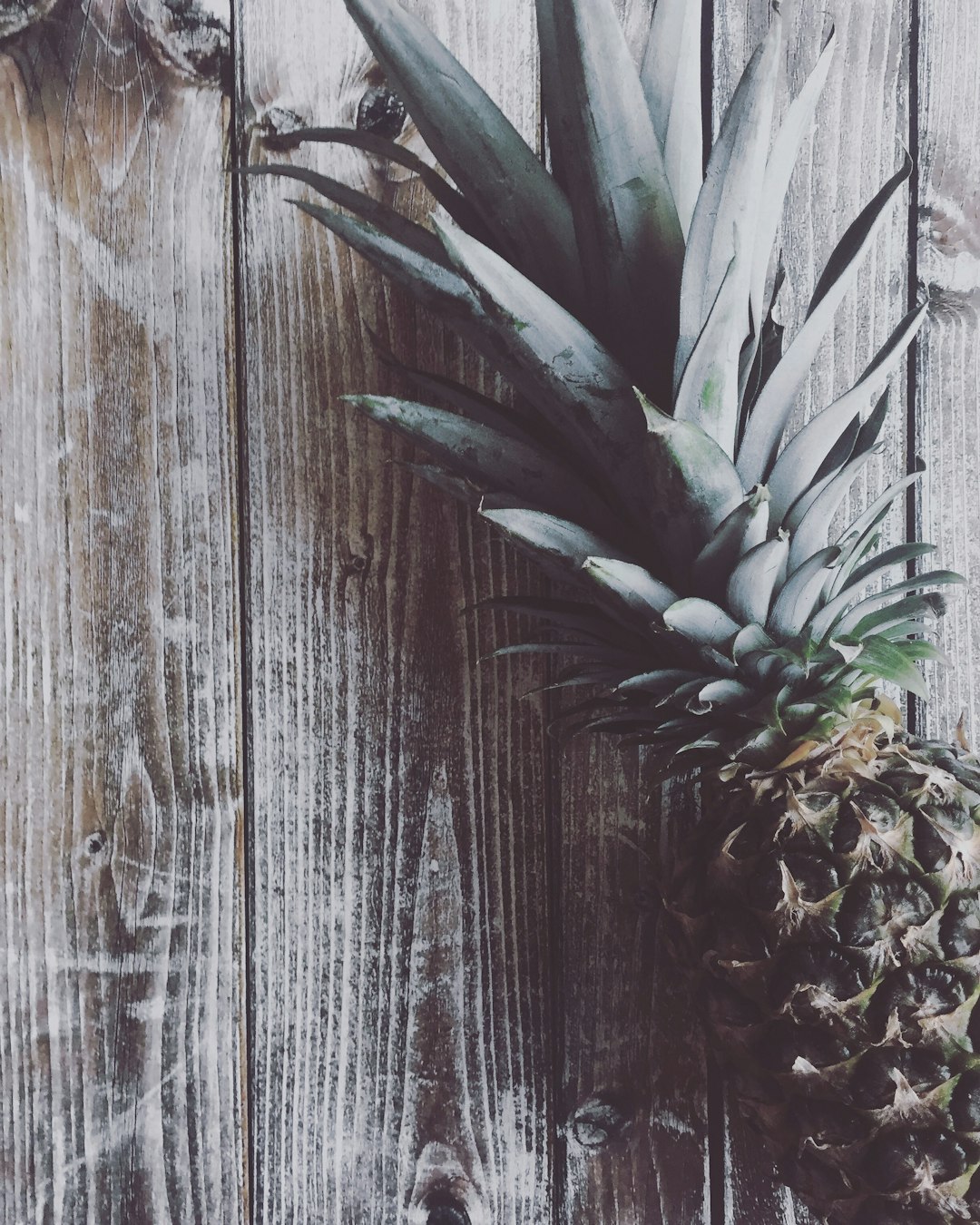 High Resolution stock photo of pineapple for download