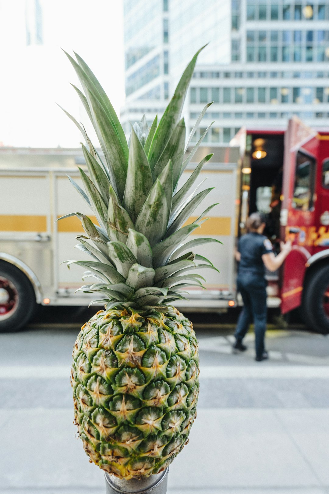 pineapple image from toronto for free download