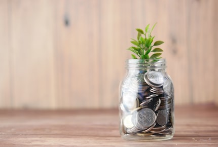 An image of a jar with various coins in it, and a sprig of leaves sticking out the top