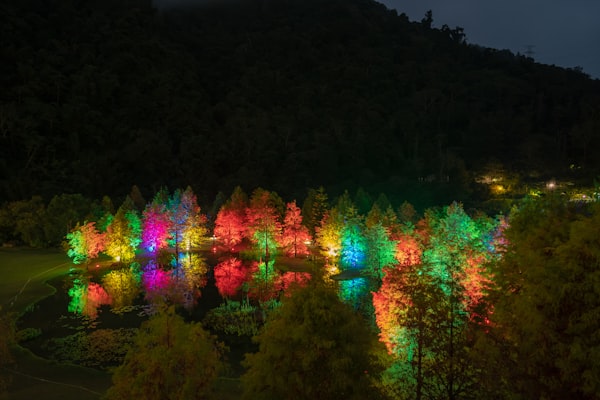 colorful trees at night by unsplash user @winstonchen