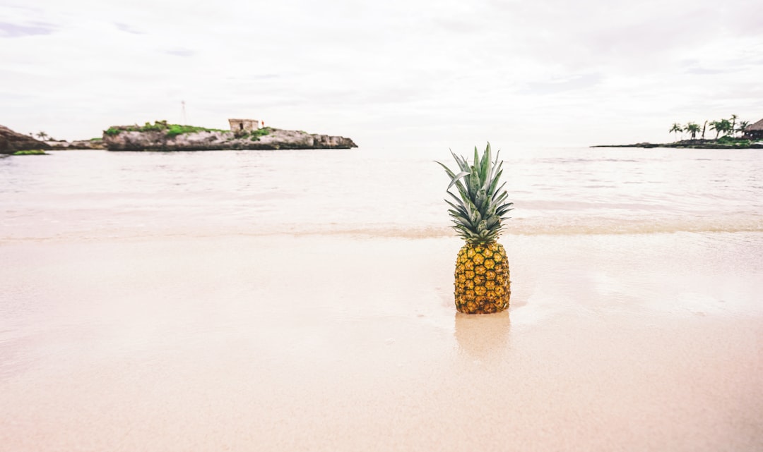 Free download of a pineapple image from mexico on the beach