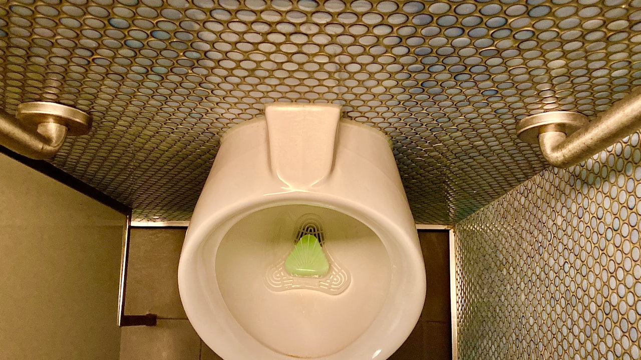 toilet hazard