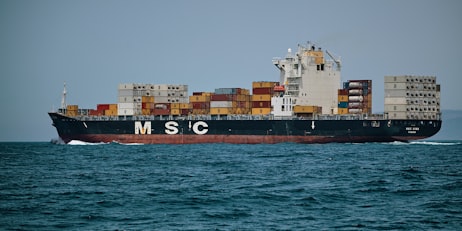 IMO And Port State Inspection Authorities Set Pragmatic Approach To Support Global Supply Chain