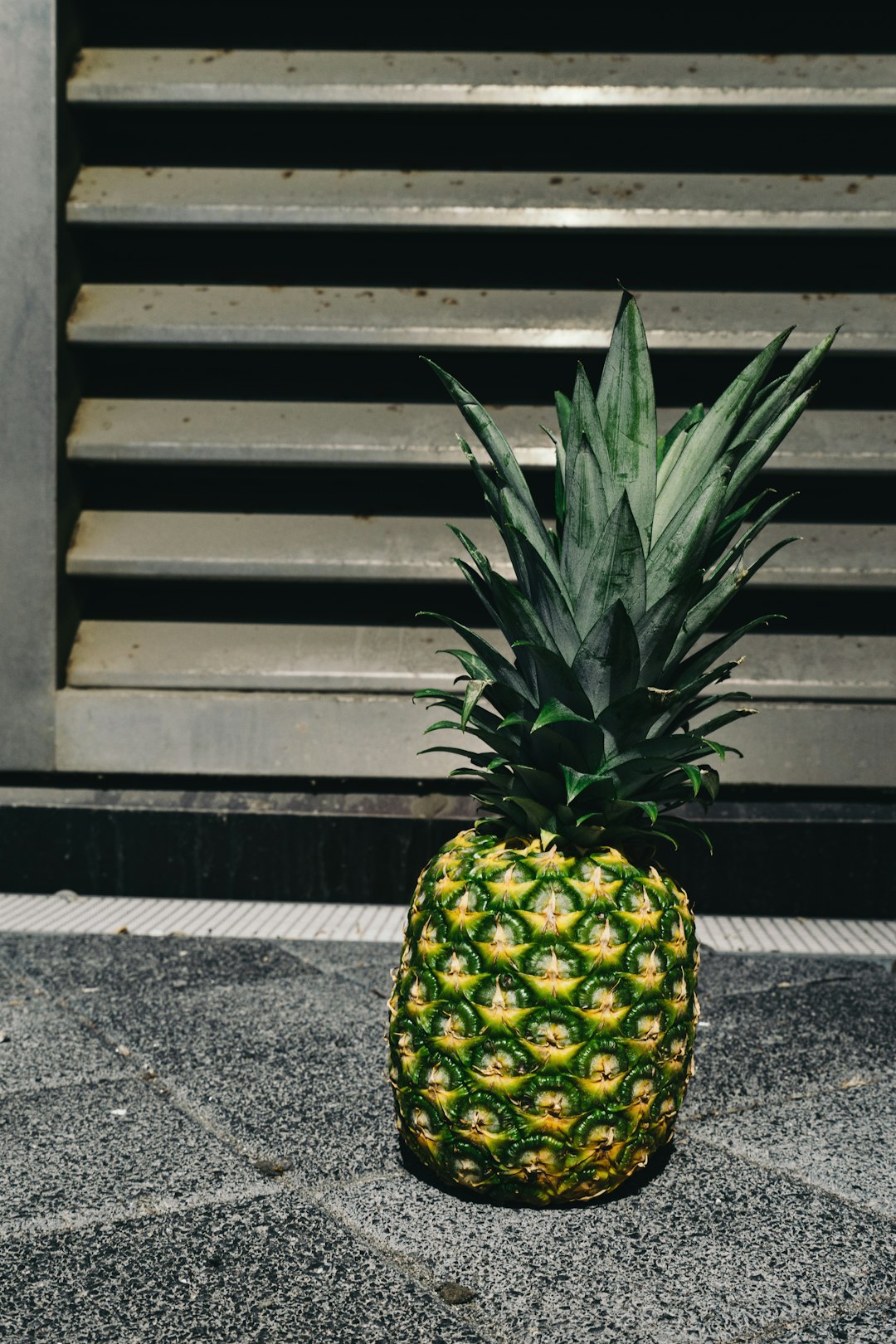 pineapple in urban scene for high-res download