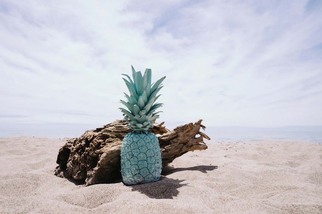 free pineapple image from the beach