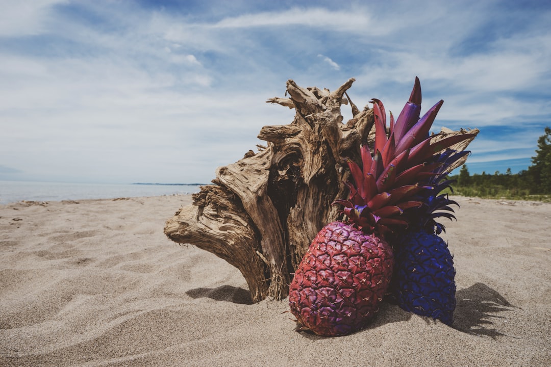 pineapples on the beach image for free download