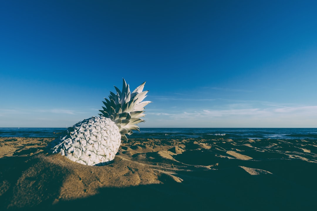 white pineapple on the beach at sunset